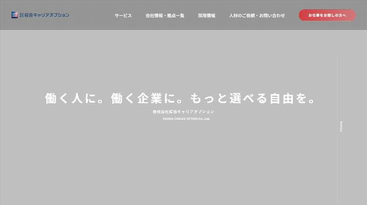 綜合キャリアオプション